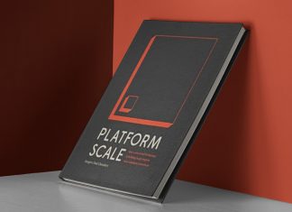 pedro-valdez-valderrama-platform-scale